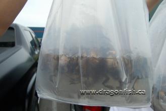 Sept08 602