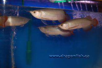 Sept08 686