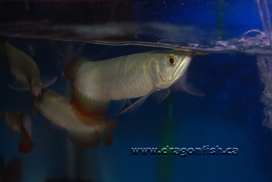 Sept08 692