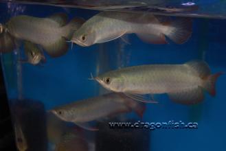 Sept08 694