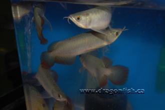 Sept08 695
