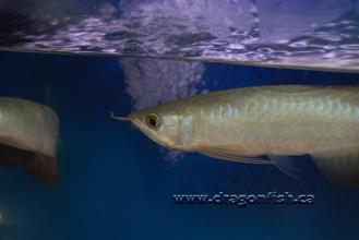 Sept08 699