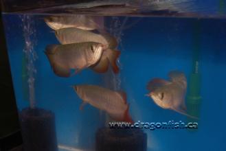Sept08 702