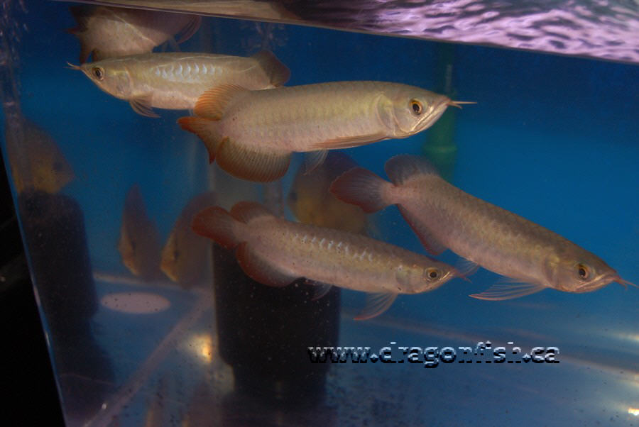 Sept08 703