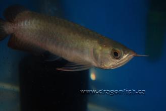 Sept08 720
