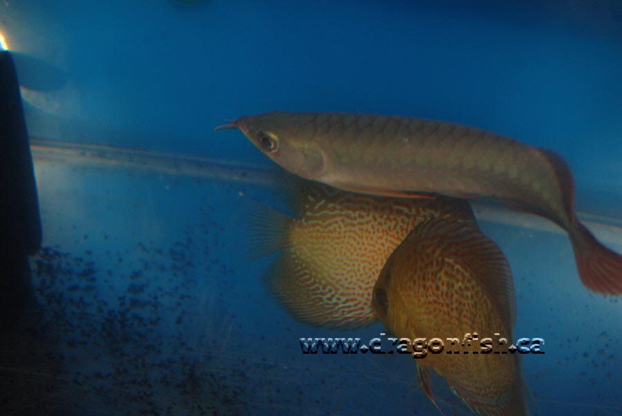 Sept08 727