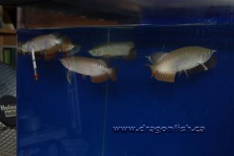 Sept08 751