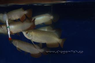 Sept08 763