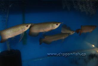 Sept08 768