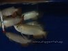 Sept08 763