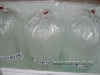 CV Maju Nov2009_shipped_out 055